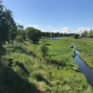 Meet your Posher, Shafiqullah